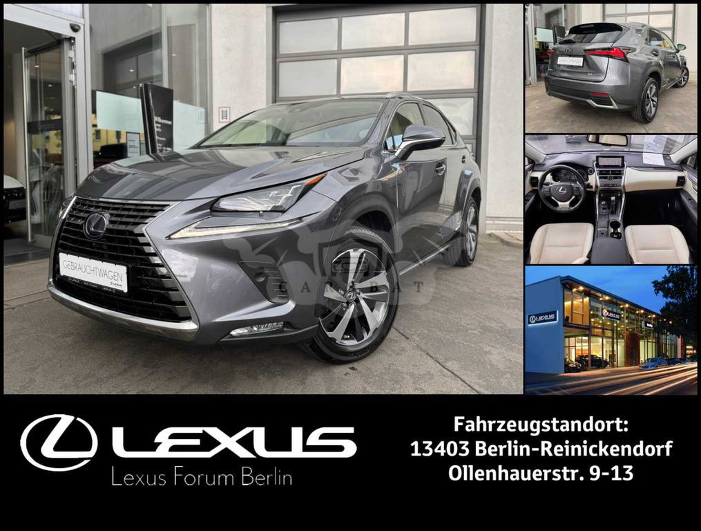 Lexus NX 300 2020