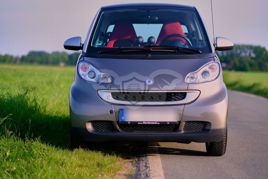 Smart Fortwo 2010