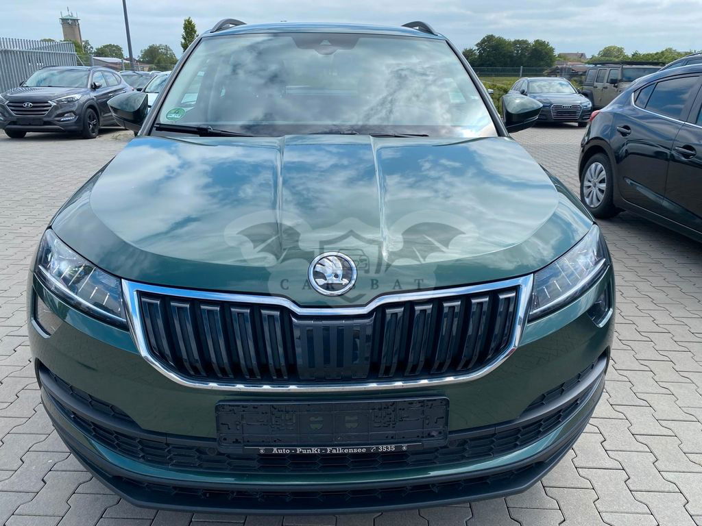 Skoda Karoq 2019