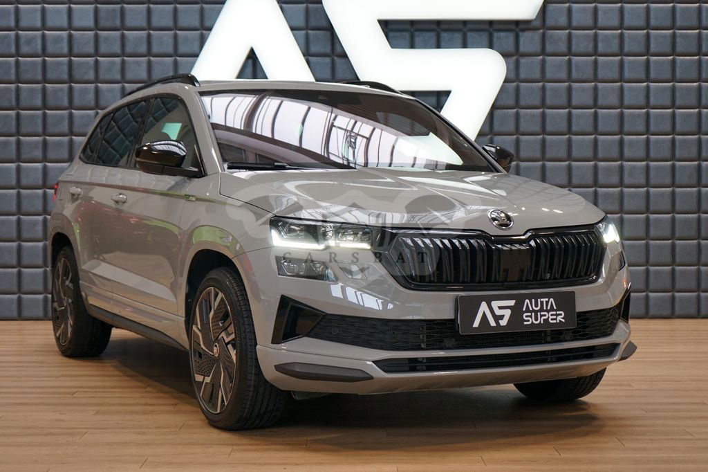 Skoda Karoq 2022