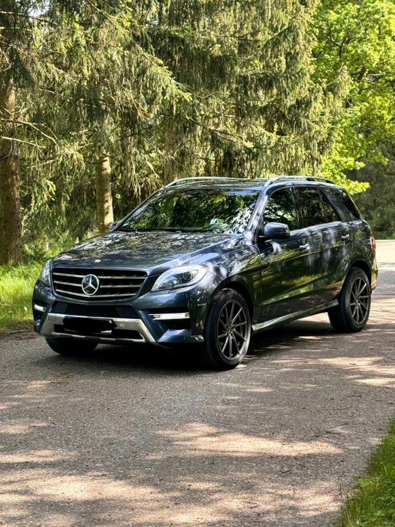 Mercedes-Benz 350 2014