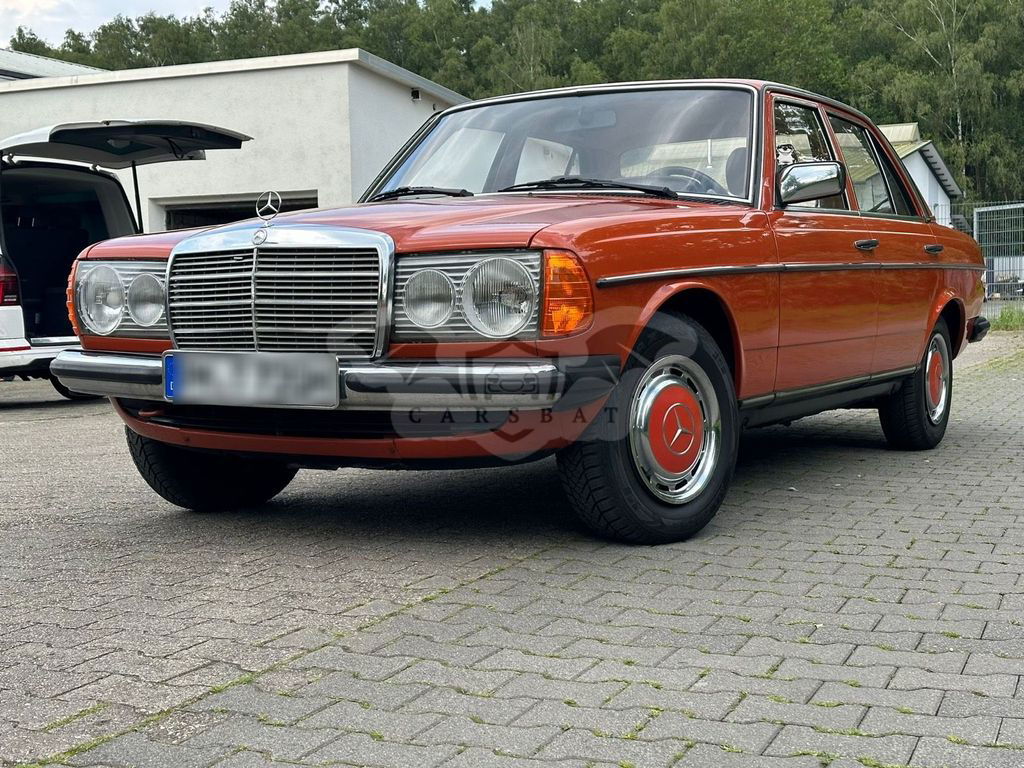 Mercedes-Benz 250 1981