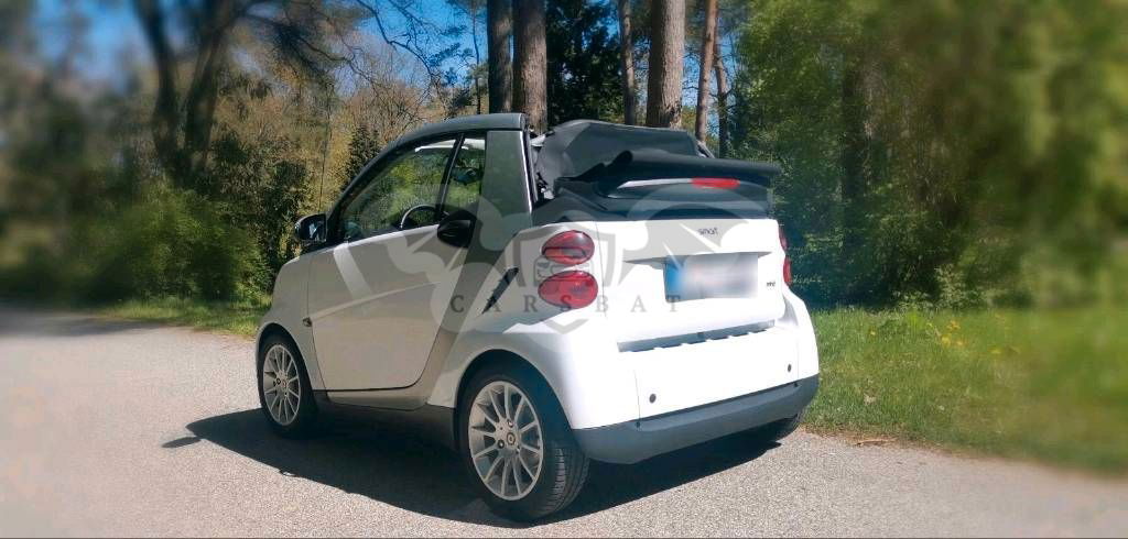 Smart Fortwo 2010