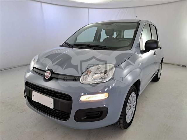 Fiat Panda 2020