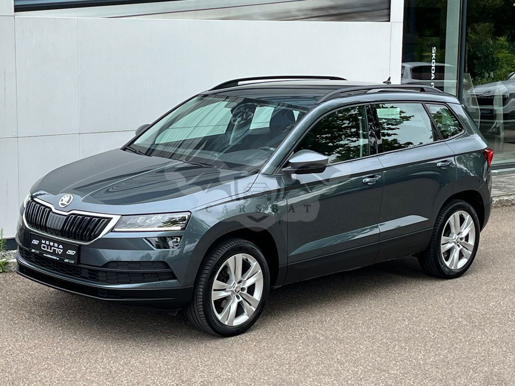 Skoda Karoq 2019