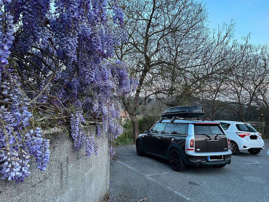 Mini Clubman 2008