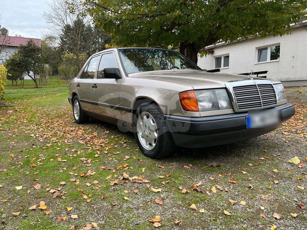 Mercedes-Benz 250 1988
