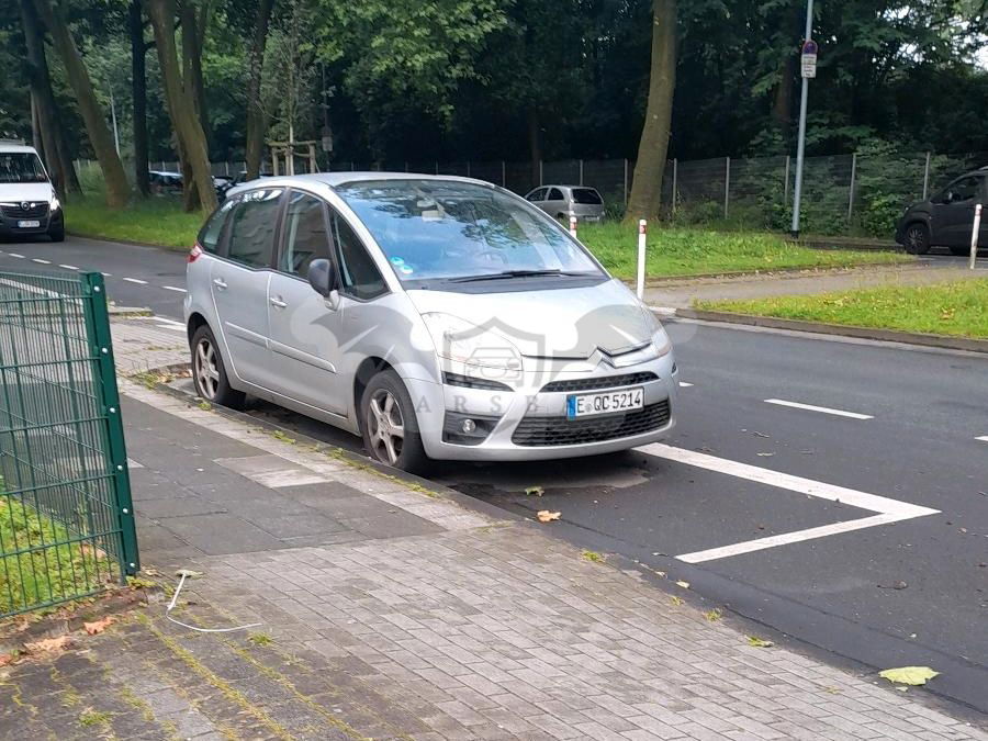 Citroën C4 Picasso 2009