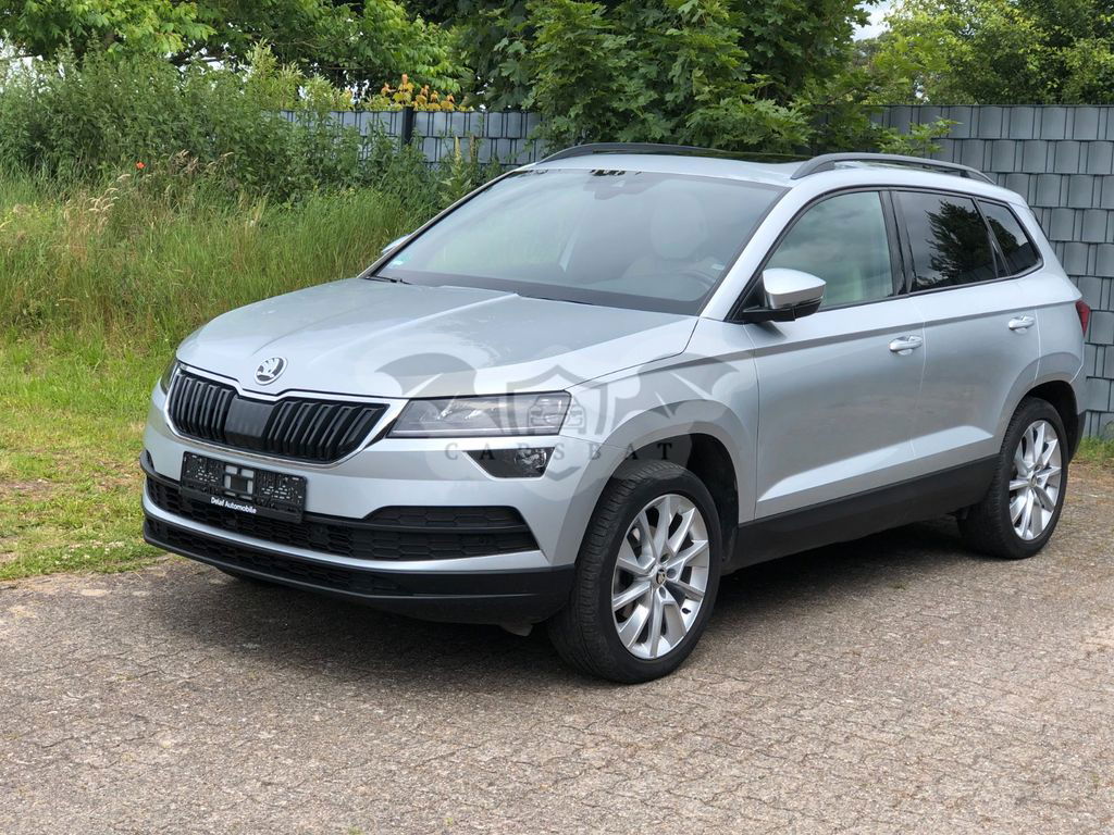 Skoda Karoq 2019