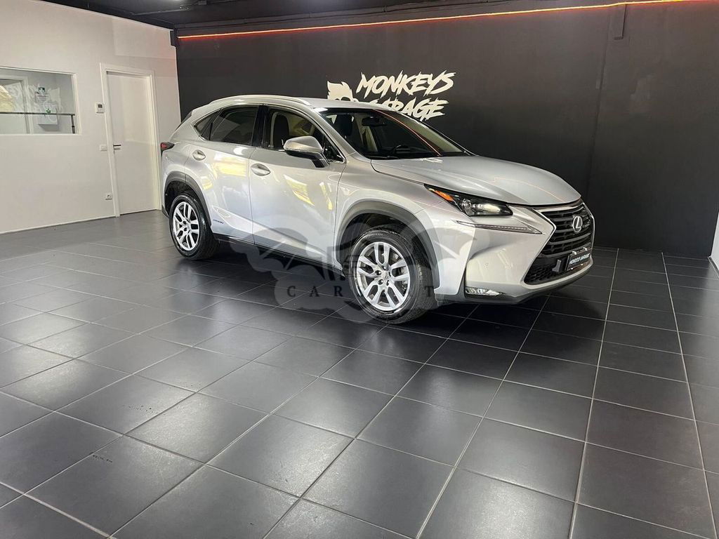 Lexus NX 2011