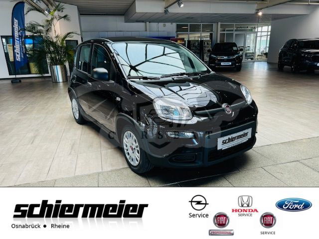 Fiat Panda 2024
