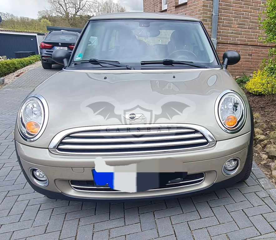 Mini One 2010