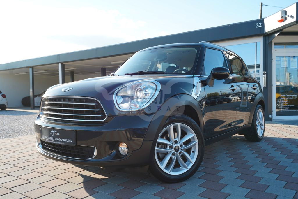 Mini Countryman 2013