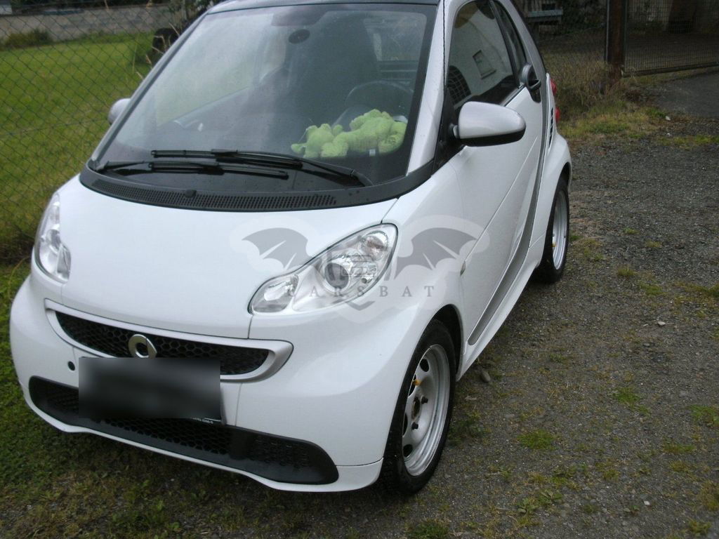 Smart Fortwo 2012