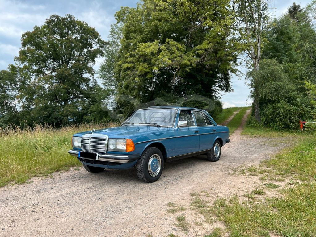Mercedes-Benz 250 1983