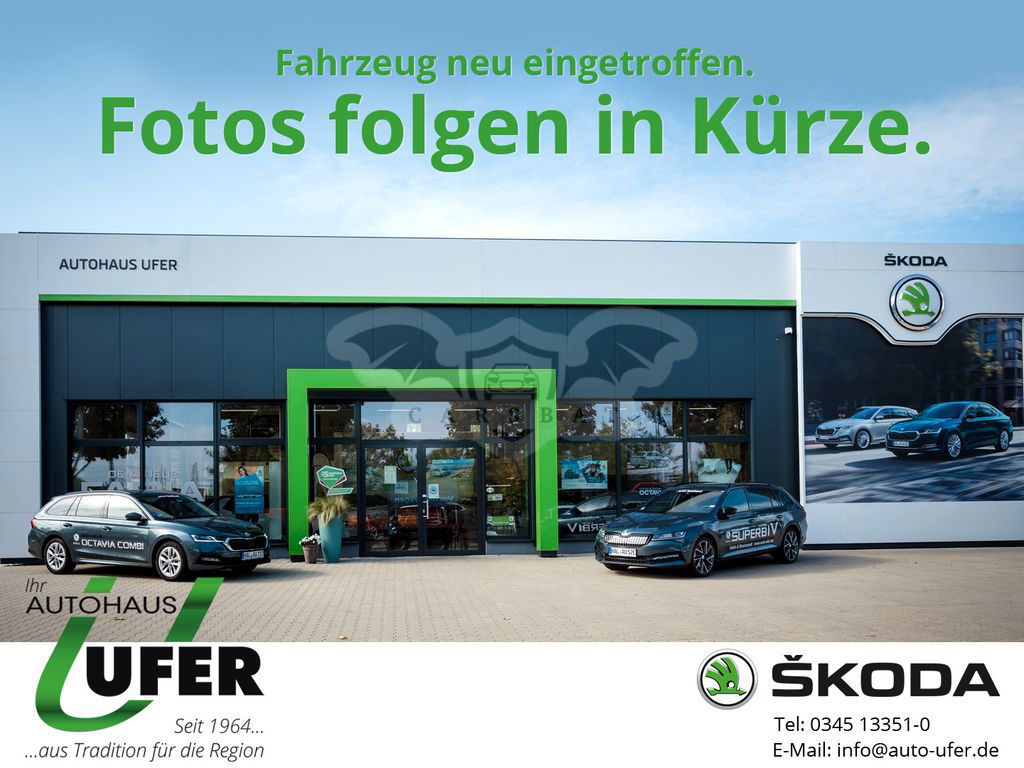 Skoda Karoq 2019