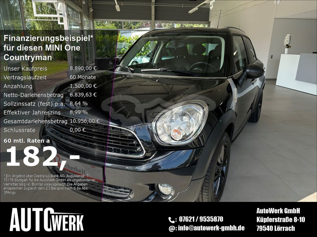 Mini Countryman 2013