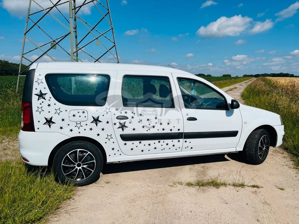 Dacia Logan 2010