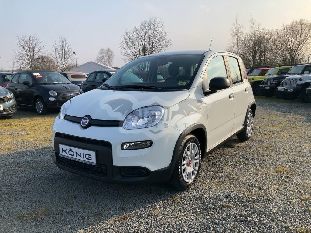 Fiat Panda 2024