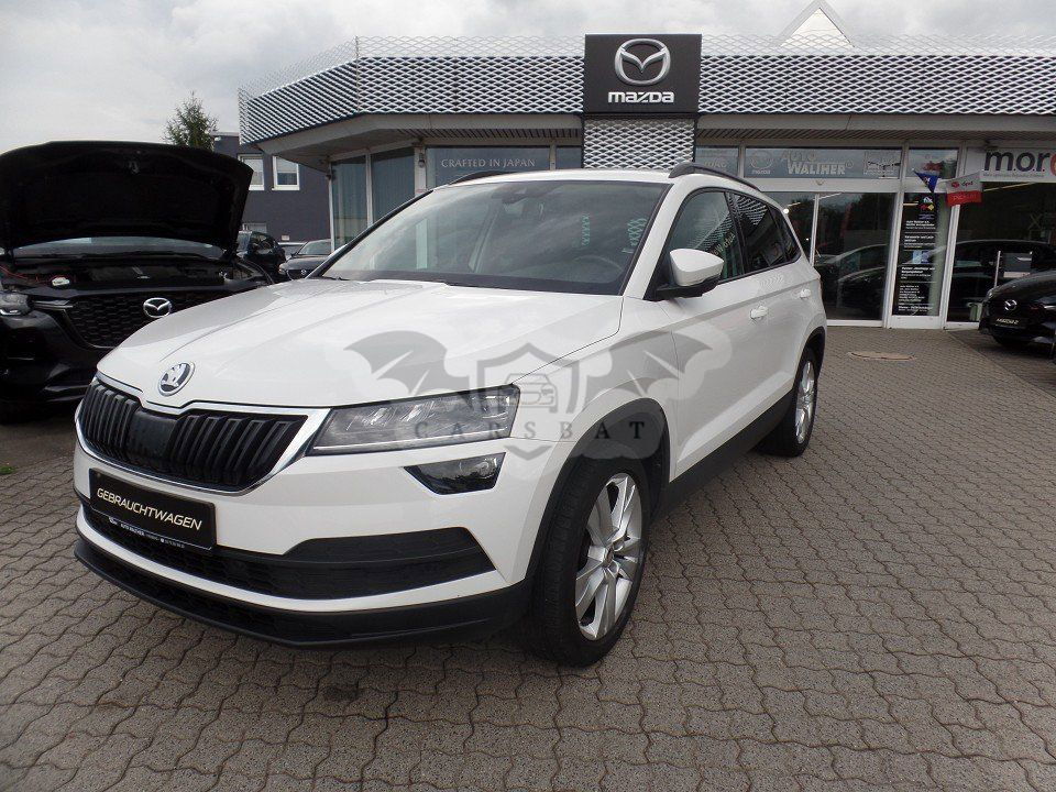 Skoda Karoq 2019