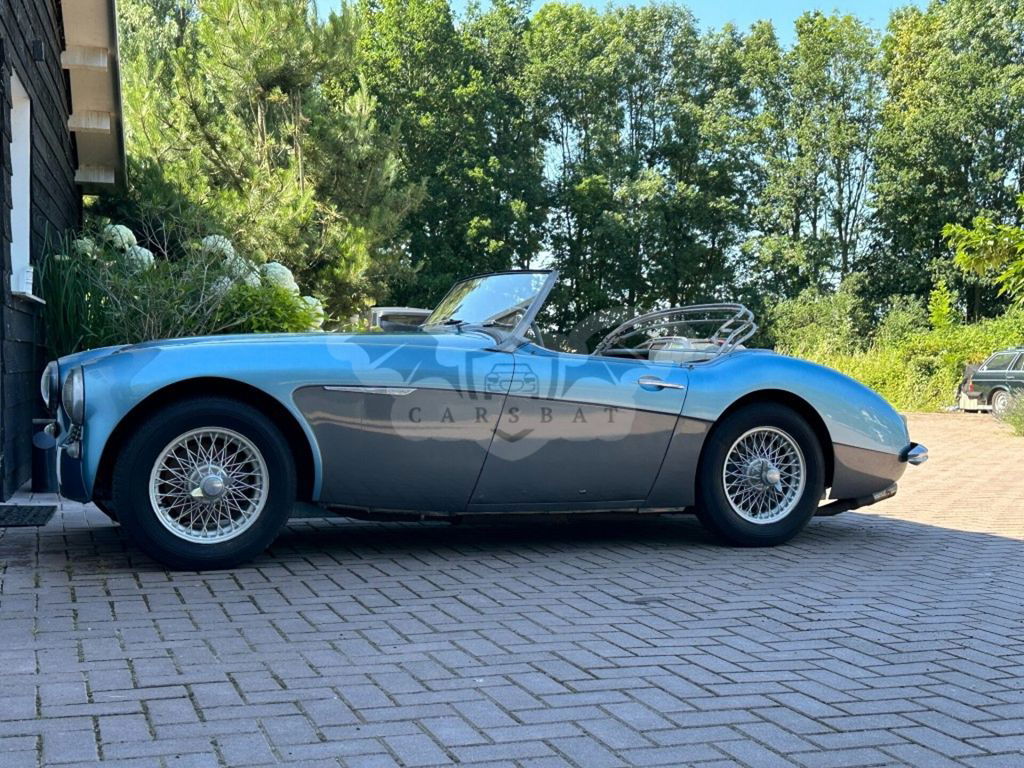 Austin Healey 3000 1960