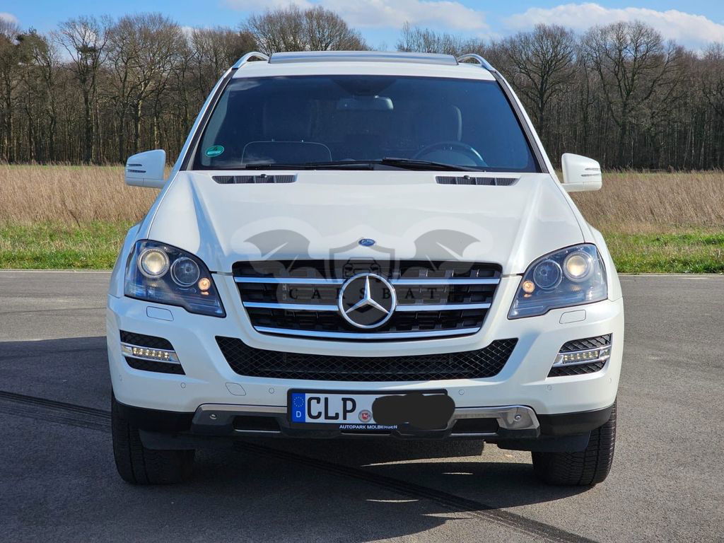 Mercedes-Benz 350 2010