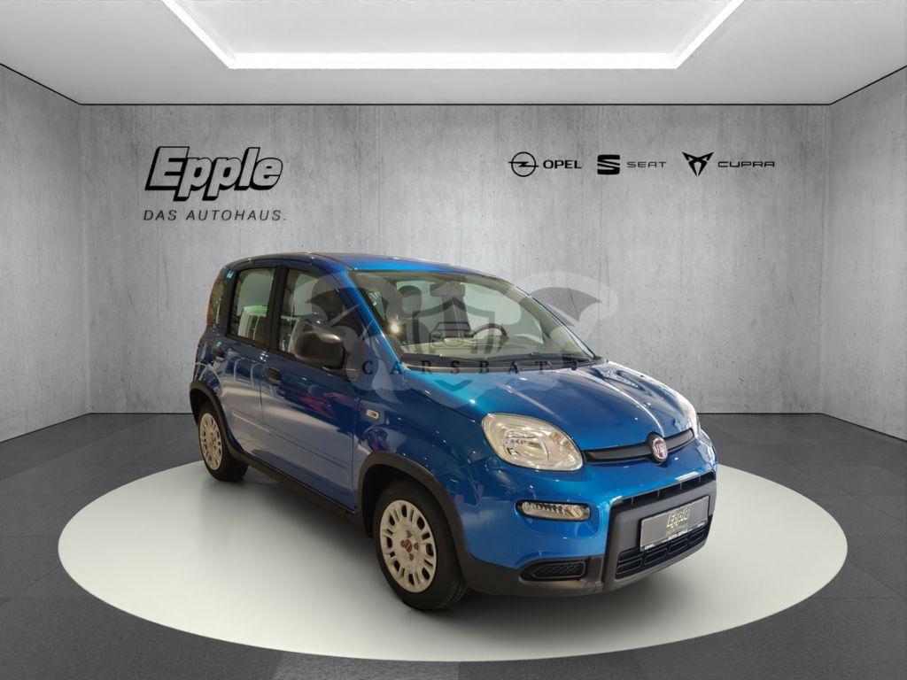 Fiat Panda 2024