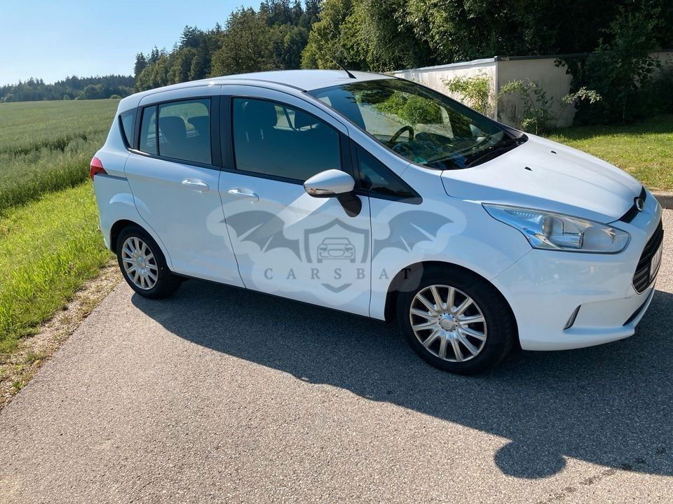 Ford B-Max 2013