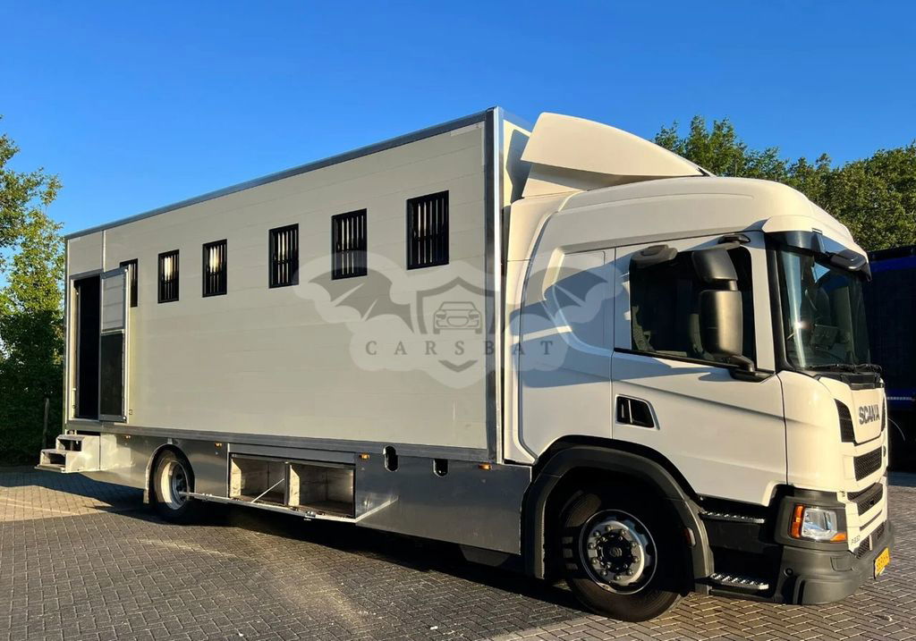 Scania P-series 2019