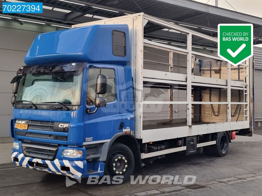 DAF CF 2008