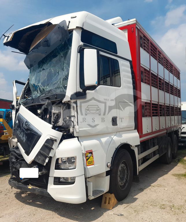 MAN TGX 2019