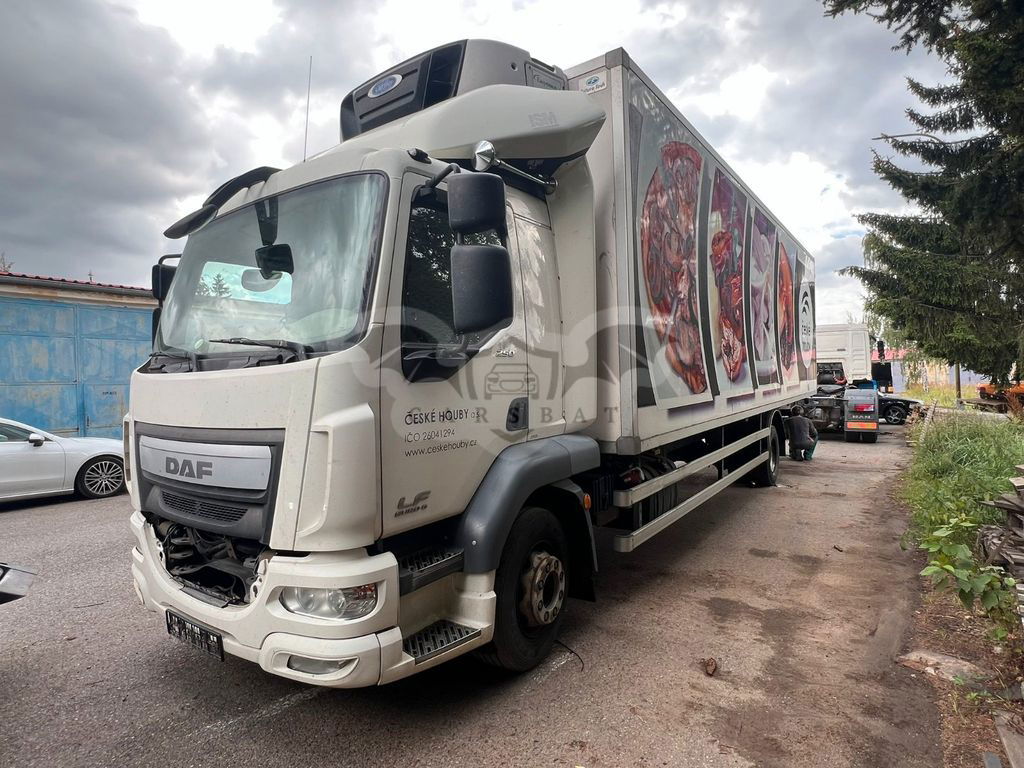 DAF LF 2015