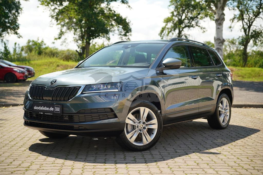 Skoda Karoq 2019