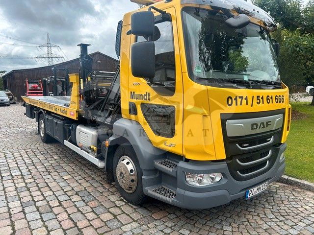 DAF LF 2019