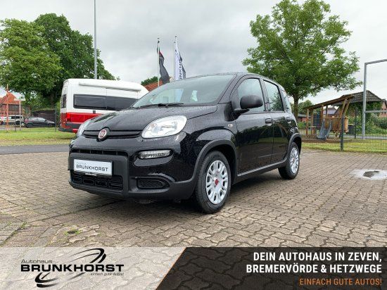 Fiat Panda 2024