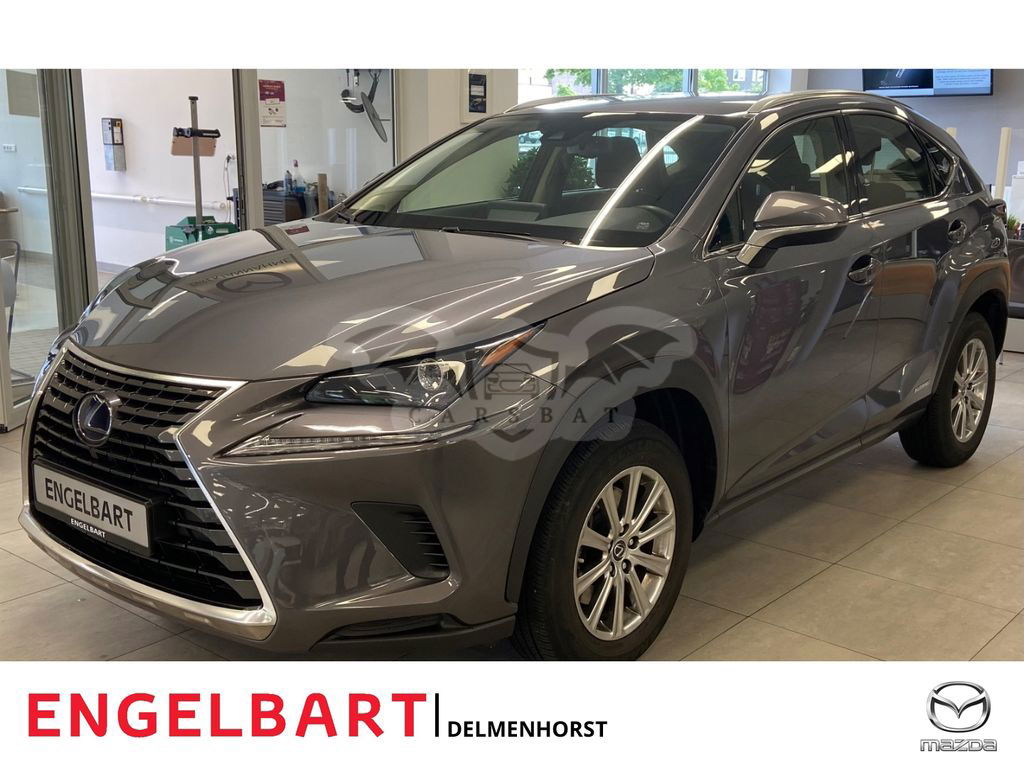 Lexus NX 300 2020