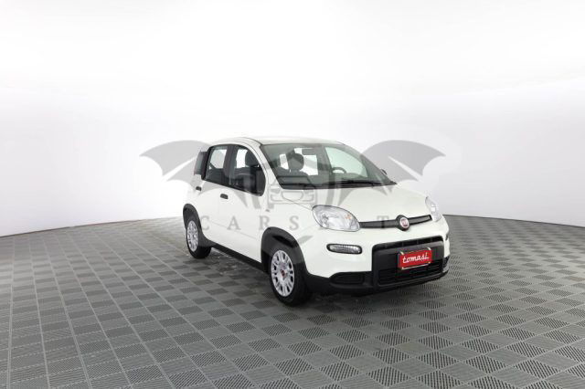 Fiat Panda 2024