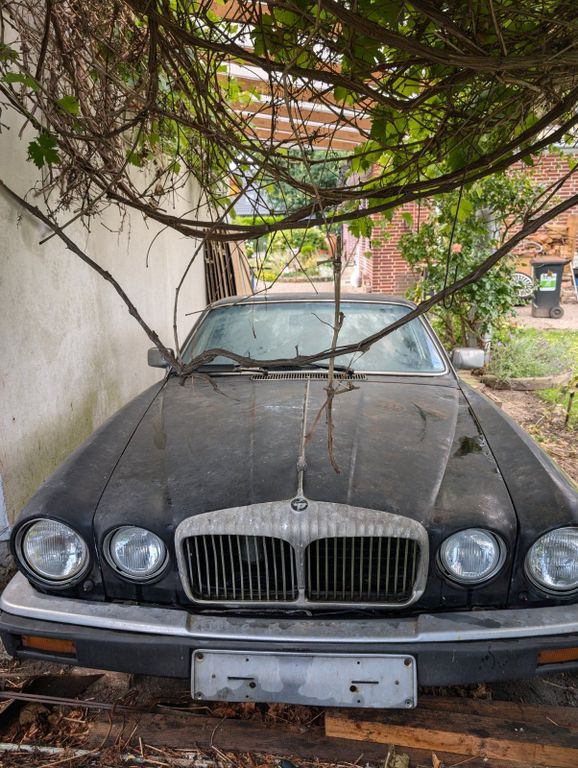 Jaguar Daimler 1981