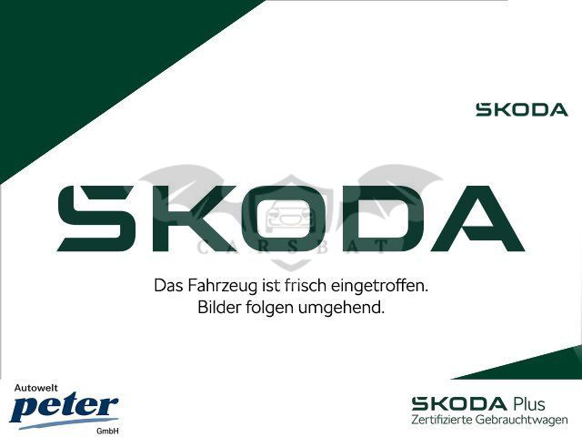 Skoda Karoq 2019