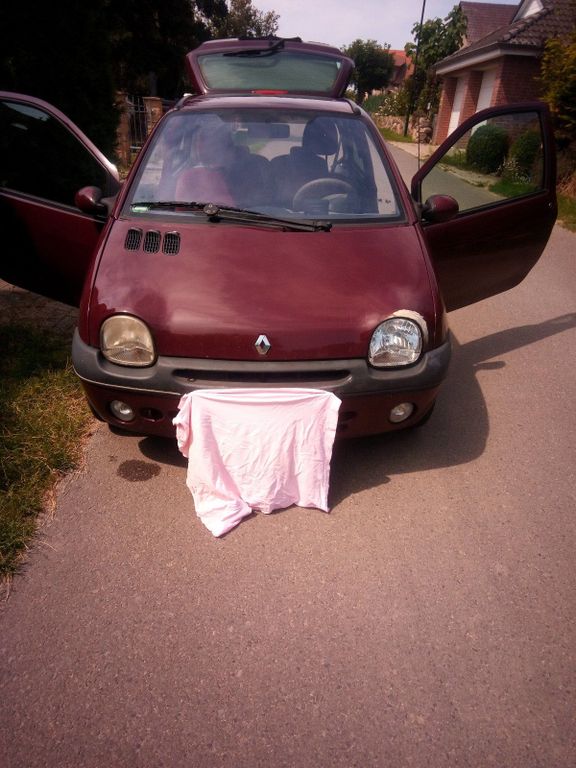 Renault Twingo 2001