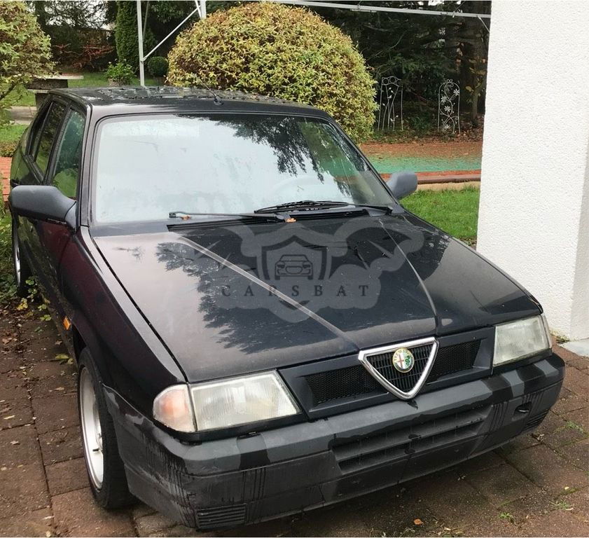 Alfa Romeo 33 2024