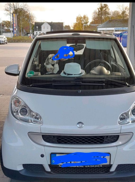 Smart Fortwo 2010